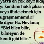 Abidin