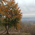 Erem