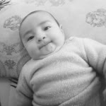 Alican