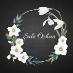 Şule