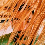 Cengiz