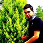 İlyas