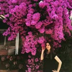 Tuba