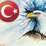 Salim