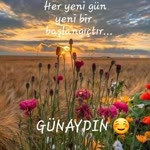 Dondu