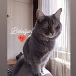 Profil fotoğrafı