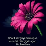 Ayten