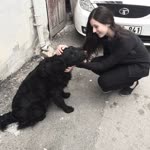 Melisa