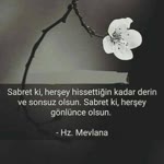 Saadet