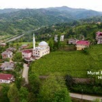 Murat
