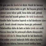 Soner