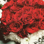 Sibel