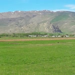 Şeref