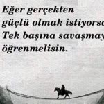 Aynur