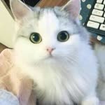 Maryam