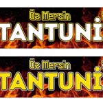 Tantuni