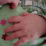 Zam