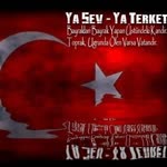 Aynur