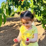 Gülsüm