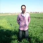 Vedat