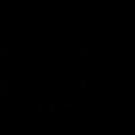 Rojbin