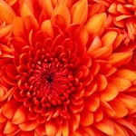 Hatice