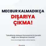 Bilgi