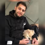 Anıl