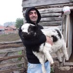 Yılmaz
