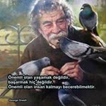 M Burak