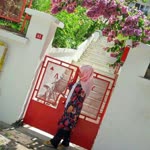 Arzu