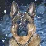 Kadir