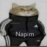 Baaabii