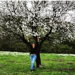 Ceren