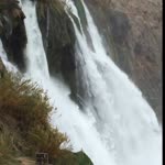 Orhan