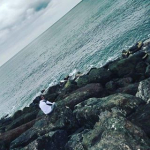 Deniz
