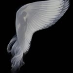 Sibel