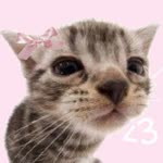 Berra