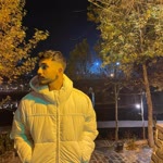 Yiğit
