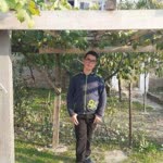 Mert