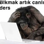 Profil fotoğrafı