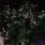 Hatice