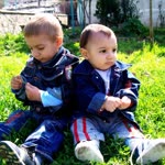 Davut