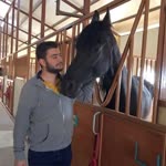 Ali