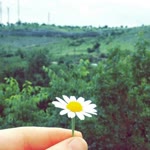 Betül