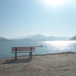 Gül