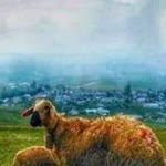 Ömer