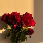 Meral