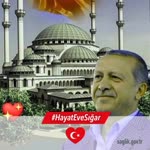 Aynur