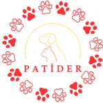 Patilere